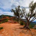 Trips of Transformation: Visiting the Sedona Vortexes