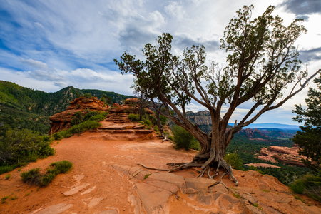 Trips of Transformation: Visiting the Sedona Vortexes