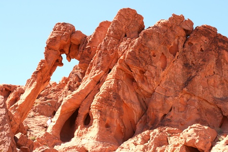 Elephant Rock in Nevada
