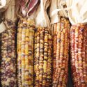 Kelmuya: November’s Hopi Ceremony